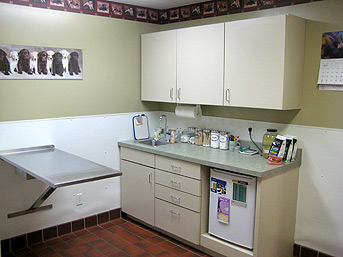 Small Animal Exam Room